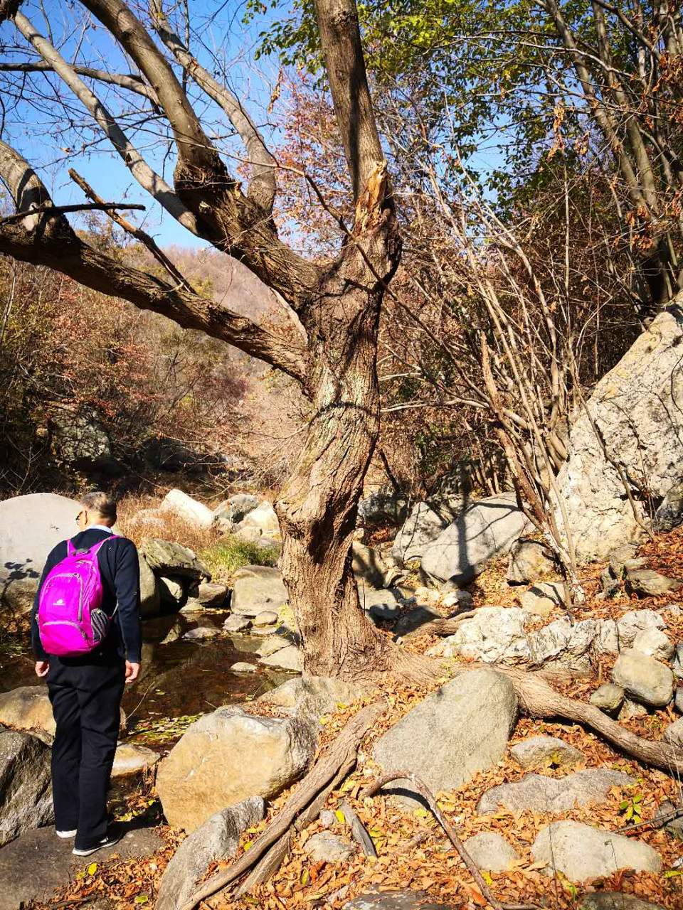 vi5UrTrzuwvCQ8i_FJrJgPSoqfdirZkNsoh31UQ72f9_EveWbqz0I8A8r3B7ztHr