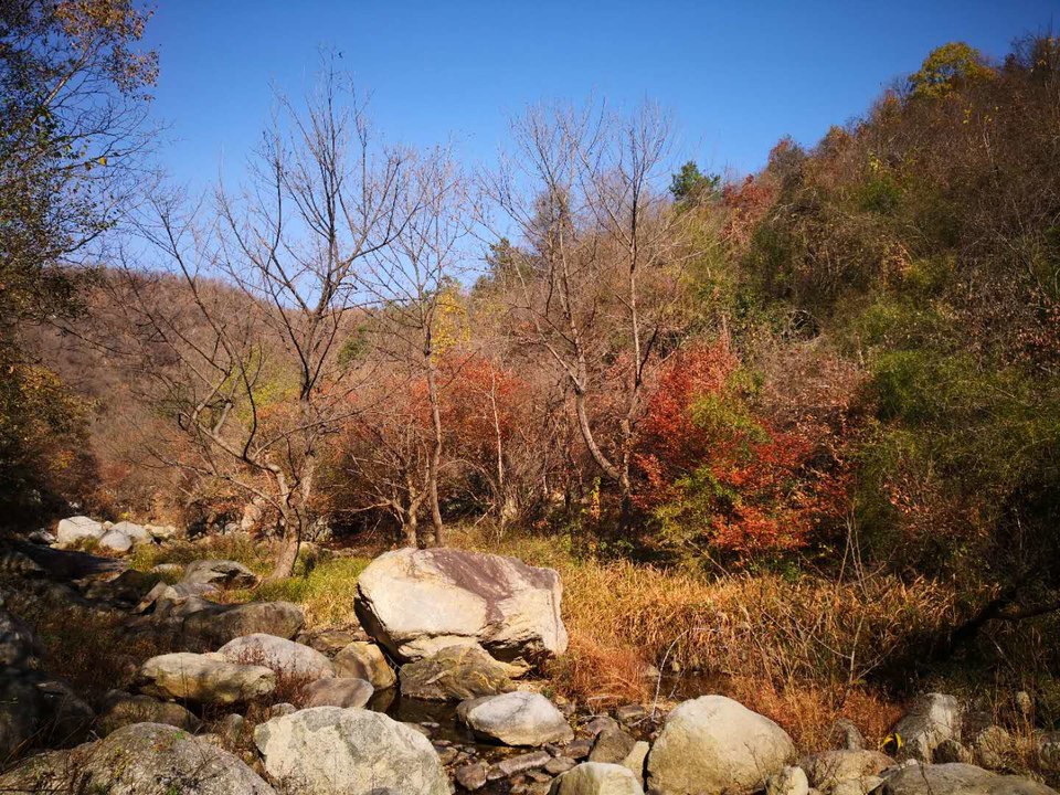 myDfyfyiCBvq5NCDbsNxOc9F9MA8gCqi2PJd3nCg8S9RrwsPWj__Hgpr5wvXwi6s