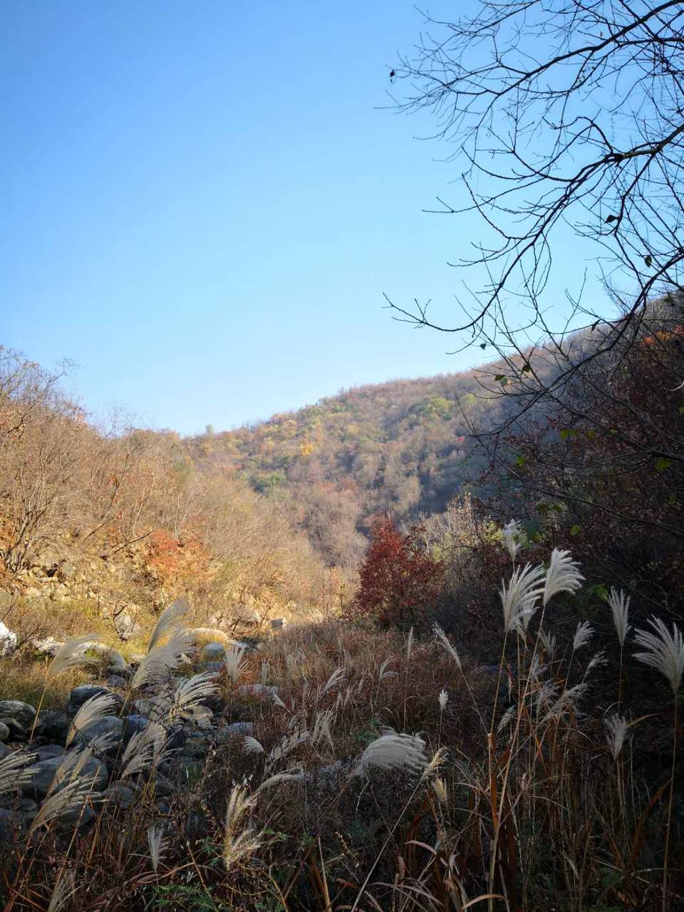 mpZiP-KfVb5RHNCrcHwmFRxXZGEtR8GSV_vs6bQ-PkOMdNIDO9VaWz0j8OdZ4Exp