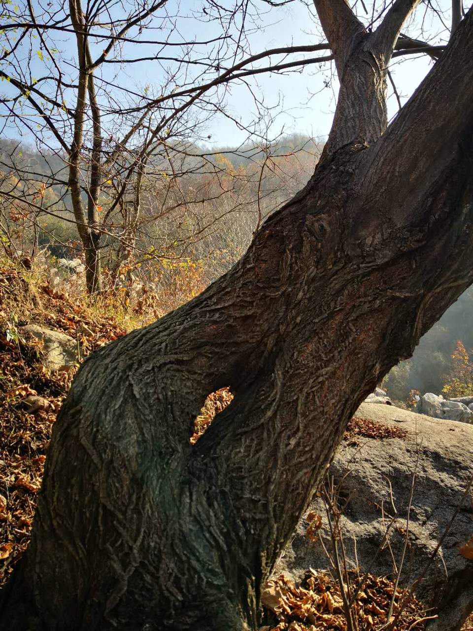 pczraxHwilfFqwOEoO70uz-suQJLAcwA81x5Dw6wDBU-XTpv4VWvBgleRM0y0onH