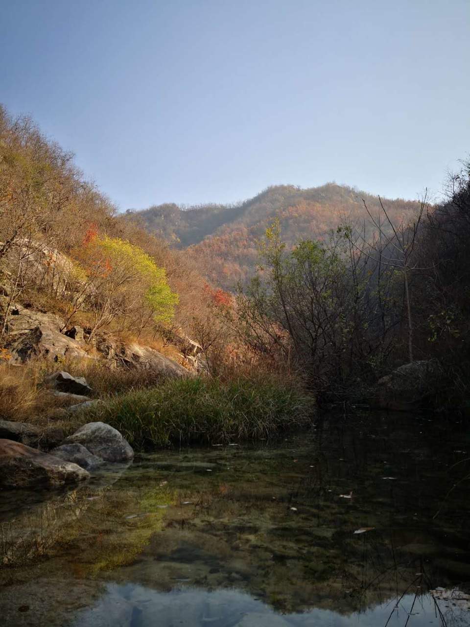 kryrS6d9TfRV35Vz1R9SHTxluoz3xBhoX7A__gKw9PfY2aZMeXYKvgX1_sgwGYl3