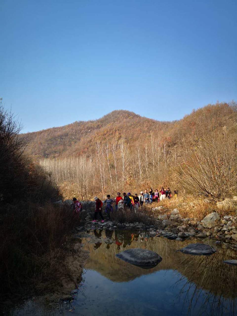 YaKm2ZsDlh4KDuAsfIFUGRZ9XG-r2Sbxtwy4Zc4ptmZOy9OLV6TlcjhguvdIJt_H