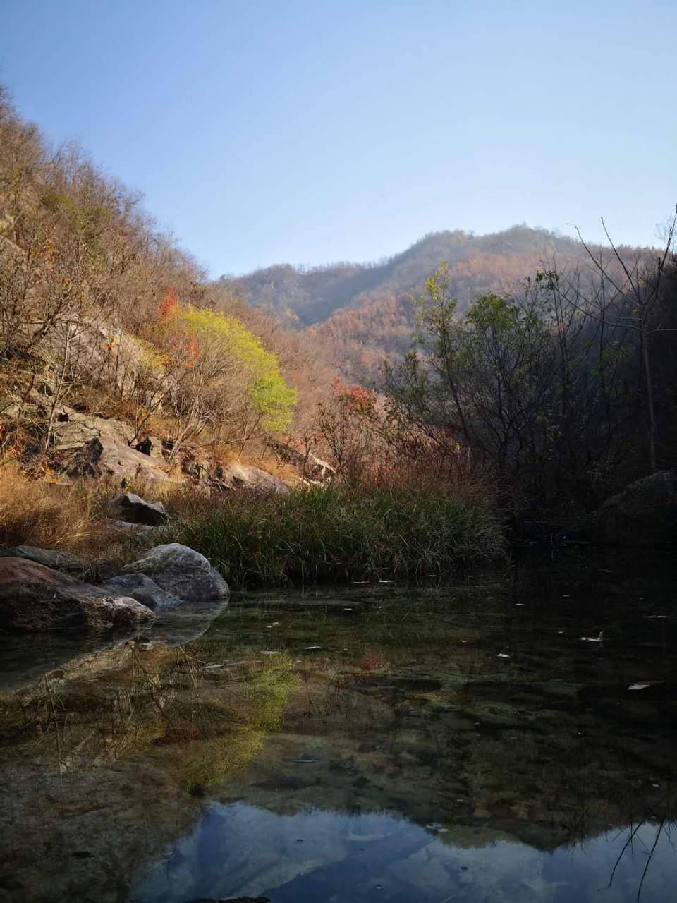 qve9qZD6is_6IkaTaaJZ5lOFlRFFGCPtc3o6vcVHyIijkFPHfTladhlt_bmwz6PH