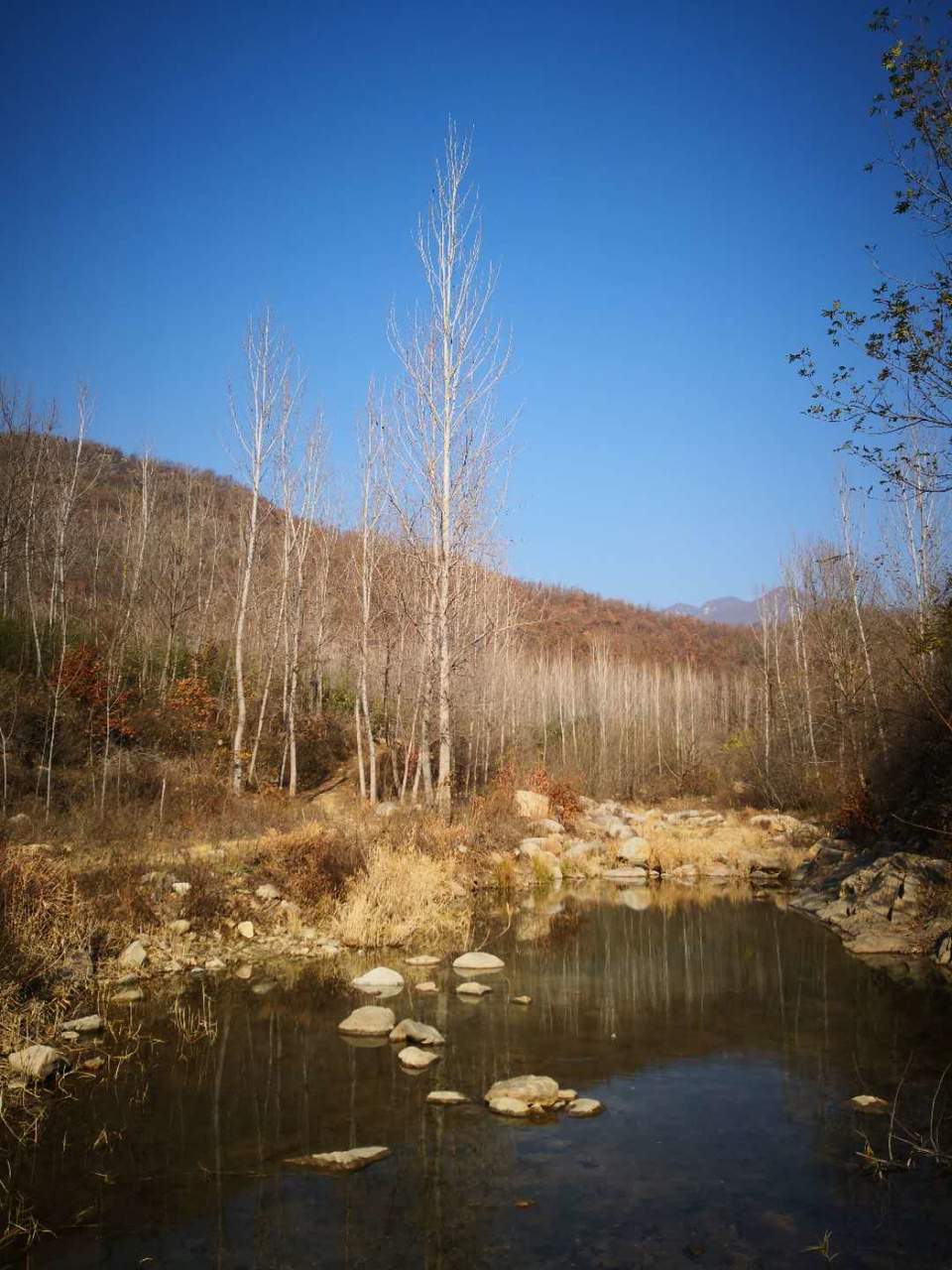 Jn5uXlixxh3-2vdfcyh05QYv5JceTbqa9HX6b1MfS8Dgvd3rJVmo0WLX7vUytWXi