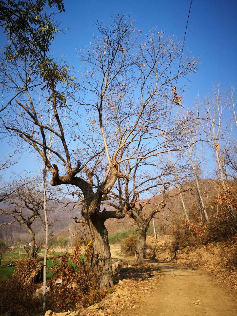 Hy8x_X13NU7BjRD3sPLjEE1Y9eedw6YqiCKwaQwZI3Qdds8e8RyM4XPbD4Lfsu69