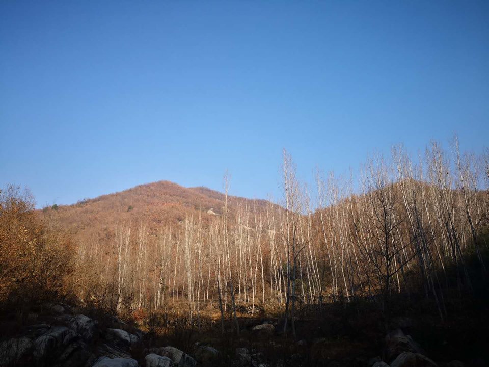 4bpCzzk6yTdQMc6t0FSQLKRc0vNrERBYFYepeBjGBnkgJF_6TzqBGgb2BBNHMDw9