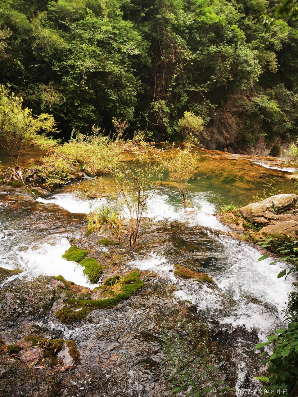 MjGaKu1BjxzAlyU_9X_eqJYCxZ4p_aS39OuRos4EJRJaegw1XIevYz-fWj3ovNfI