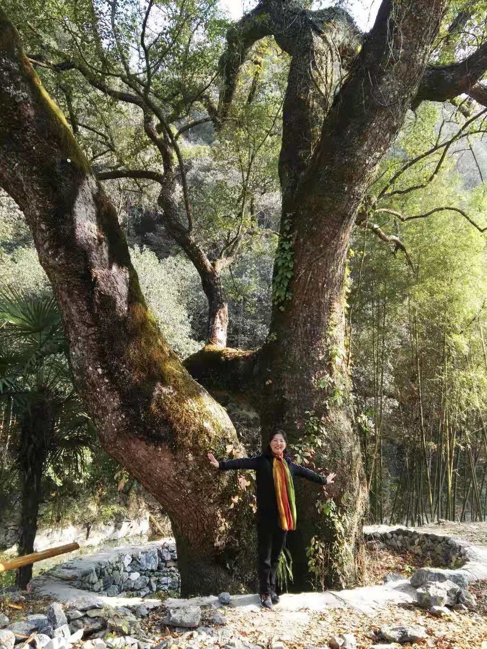 UVXXsFlErxSKR34s78KT_sBuCt2FC22RN_8aABk1Z1SOanqTJrxhcKbctC5jnuaZ