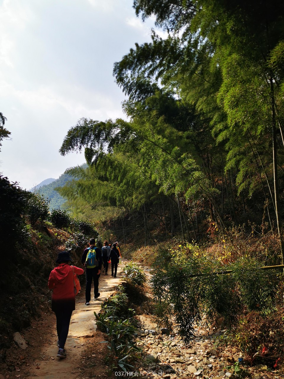 syRQ4szhULgimofOuDRcMgsMNyLU45yFj0z8oyBcb2ZXG6u1a-jvxHTJ2tYY4UaL