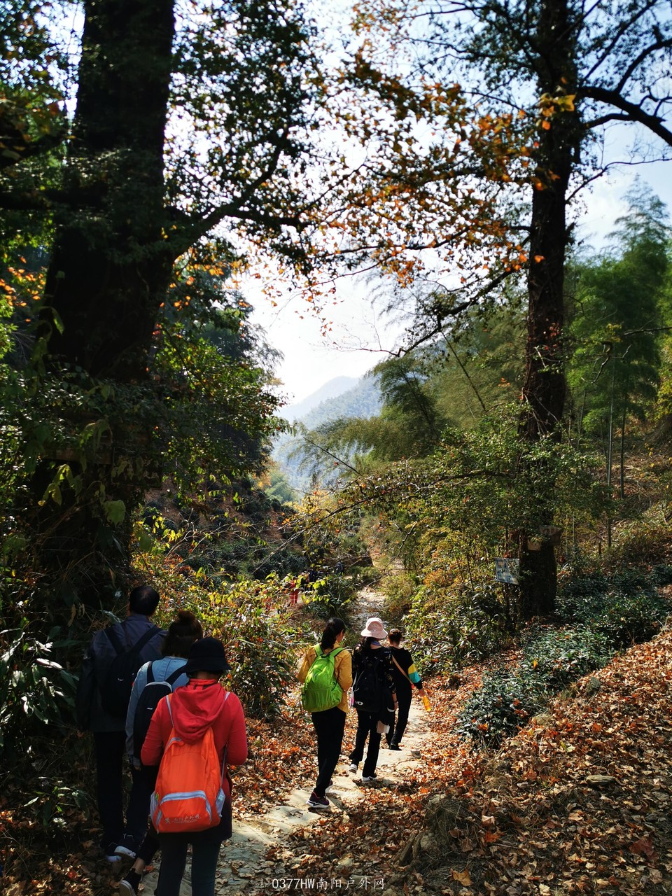 1YGhUcKSRjnGhNollC6C7WbHEBJa8ADKh4L3RFV_KZ92e4lQcKKryxtR1EMS7cMb