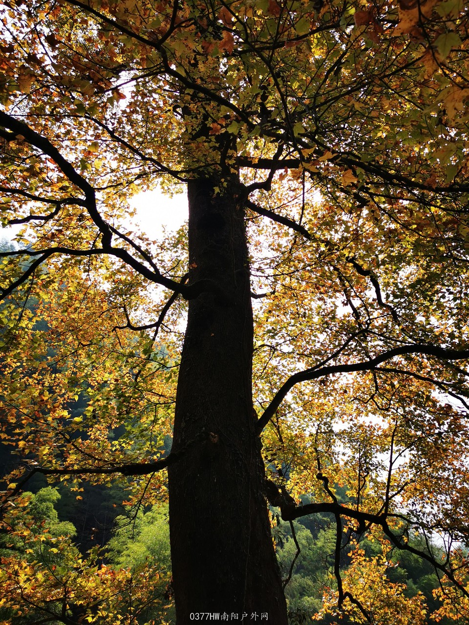 pzGnmqfuAuBhZnJumvw2cUqGJ7YXBVcuiFVkw_VtXZbmX8UO0IVUQcem_AdnEepe