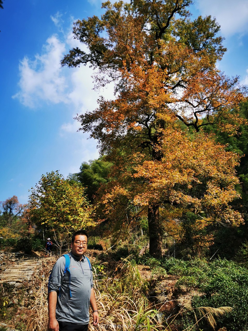 ZbnJxwR7gkfNUSlUmxF6bgVbnlQRWKCidA4b4f04_n1k8YkkoxZWWGcY2l5qWPv4