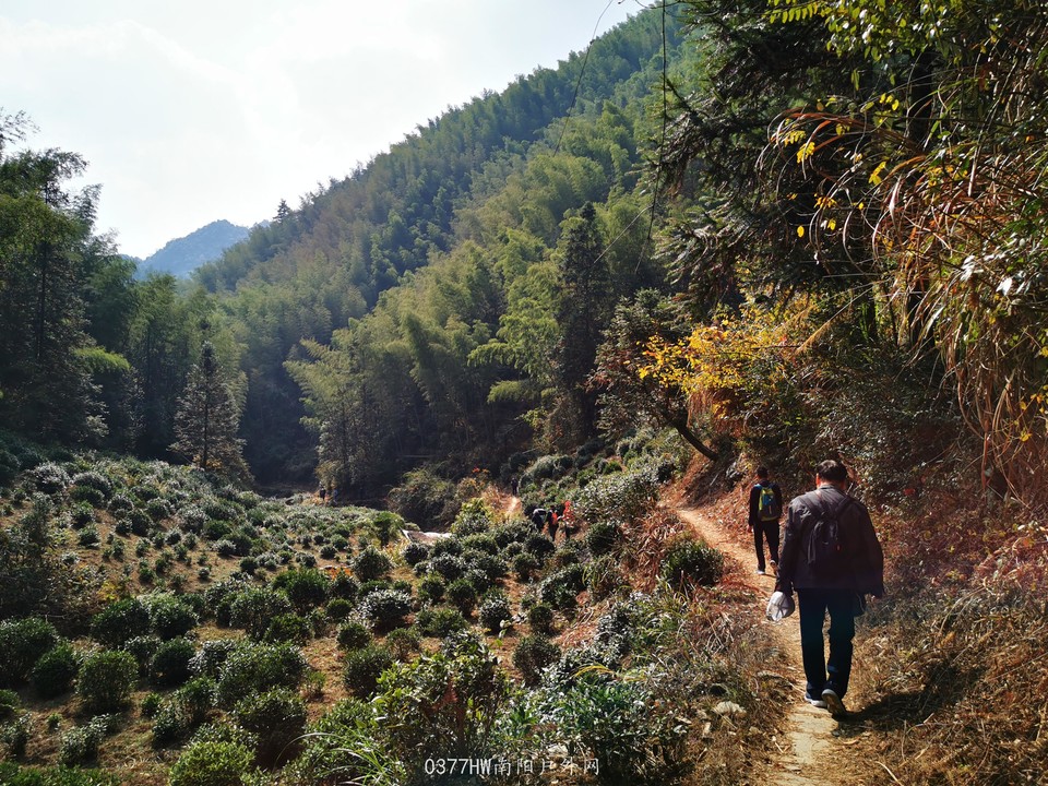 gfZoCu_qFSKXvS_FzwnsQX4zpFoYQjRfyaK8WQ1Nhkw_EWjdeFS3NHv8yKj8z3Us