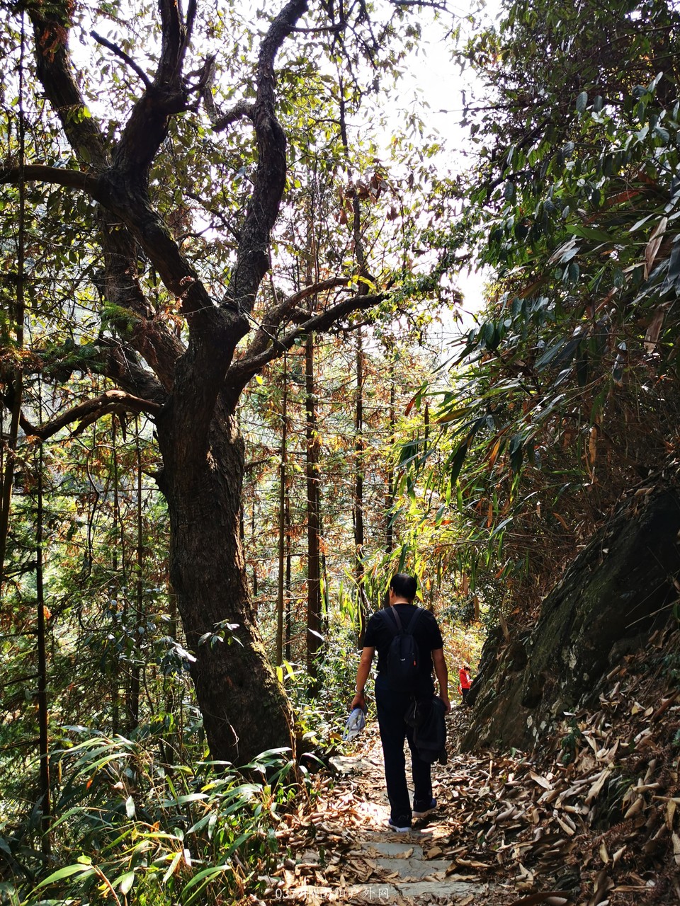 xHcckVt1xEgXiYuBDU0pI-DTSPHDplRO_NOUNx-LoYtoxT5Z5baR_b6Q9OmpjMOl