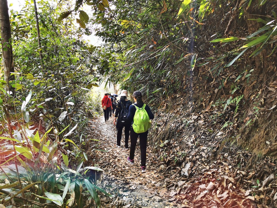 HQJwNlmJADIIjEV6k8eSJsL2ENs32kGQ2VZbtfc2tAIuoyJZ20Di1cplEU0lBIV6