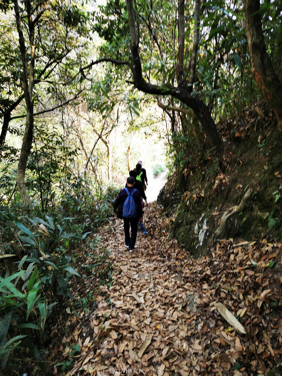 hiziwwNXJGsUS9kz8NO-SZZ-gWx3q0ycgzd32ueyJ2qp1K0no3wI3CAESMeIFaFk