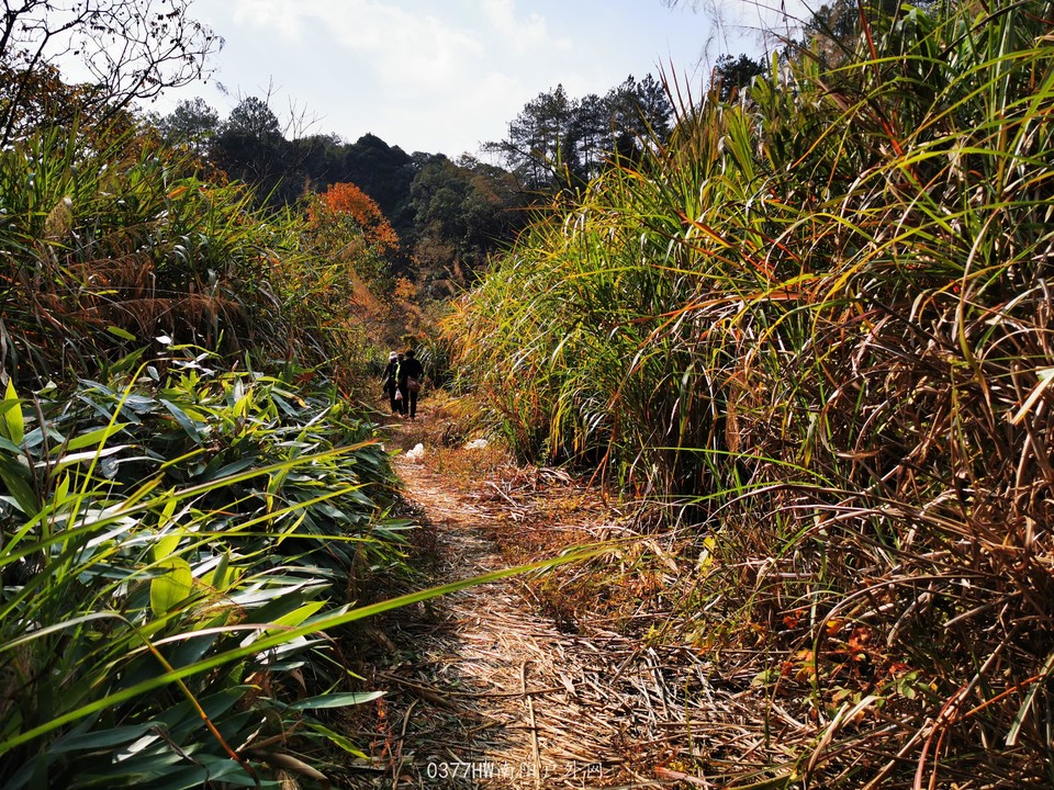 COFUMUXv6Ra821Bh5_igvm9YdI3myHX3gxhV61e78jYhyCpSfoD89-eOPMcTexZH