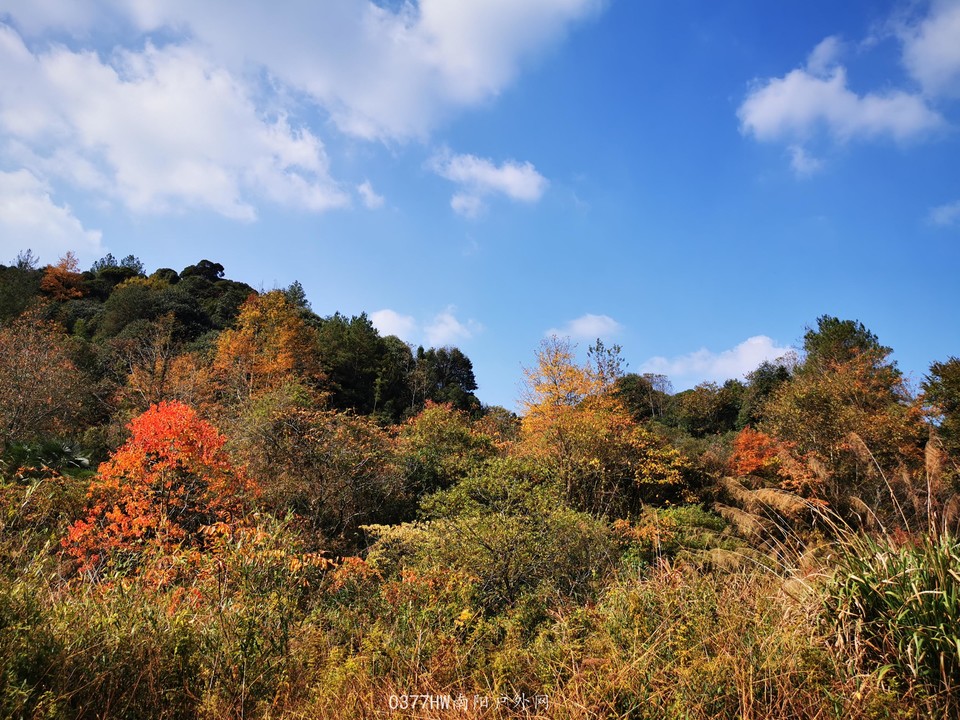 U9ESYB4_nkKbxSo9gOYKMGjBY-JO5cJxHhWVLGoEzPebunxNQ0elNWuxYVScfUI7