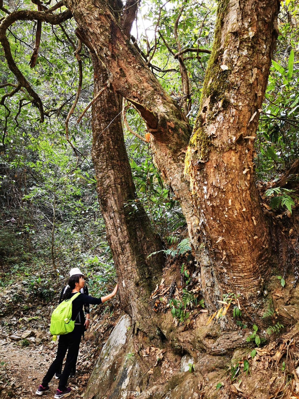 wGKSre3HLbI3JL-r6Ip3P7acc5aSQyoCMSHutLGv7ssMlsNU_RFMxNl3f9w7VgmQ