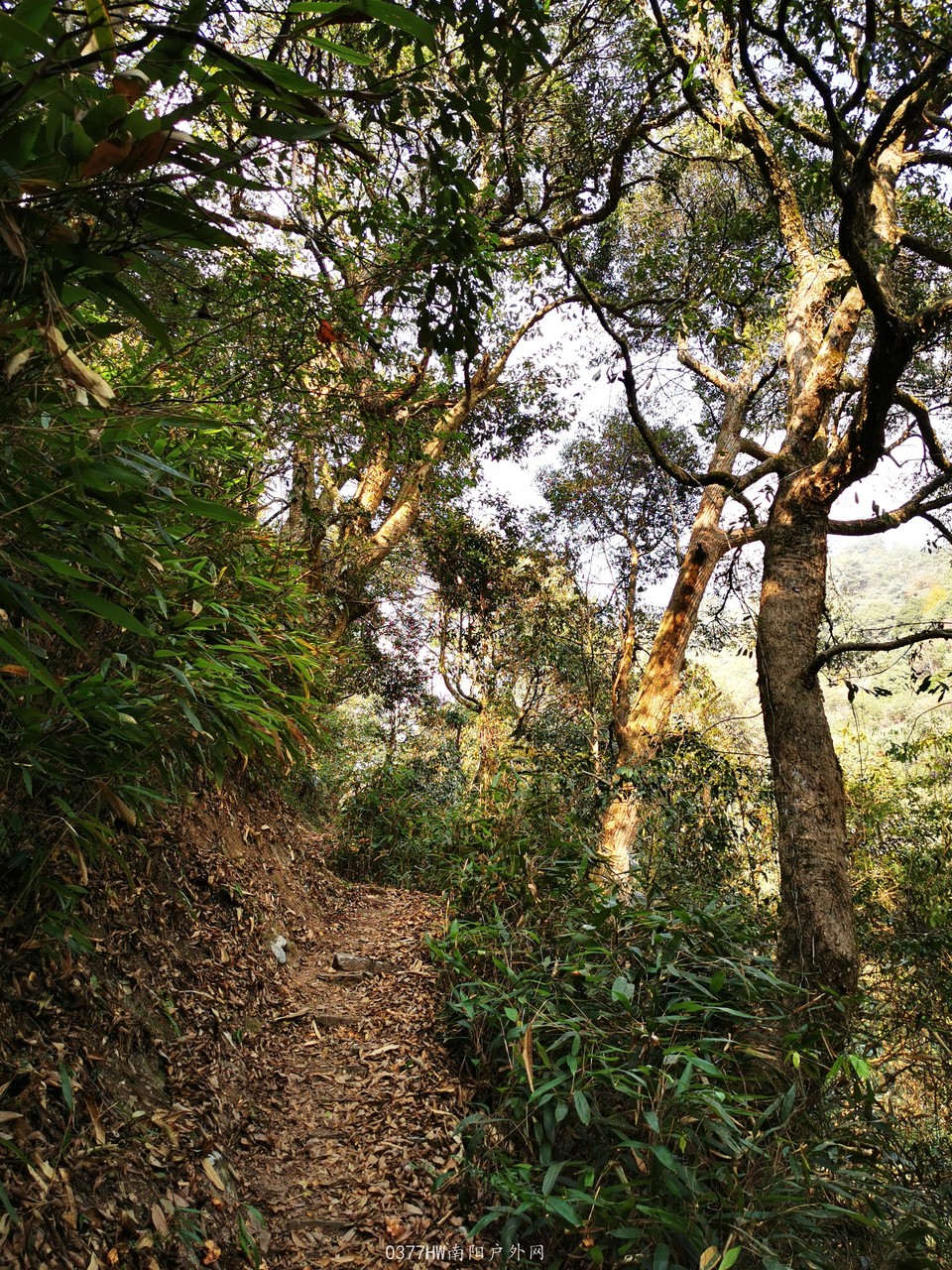 wKo_gpnI69jU3PCai18XD-2png6mbRNZlPvnTQOO77S12pwPRgg2SuaQrkCSVLZ3