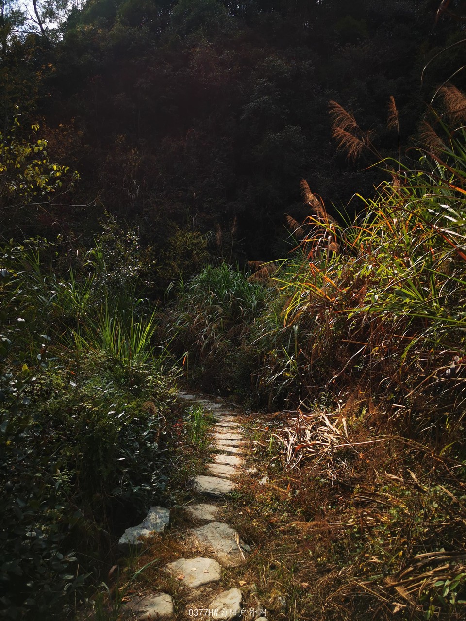 j0L6kfKJUYKjZ--S5MPyyj104Z-MVdrSmnynsJw6VLb4hvSNbG20cUKfI6D38u2-