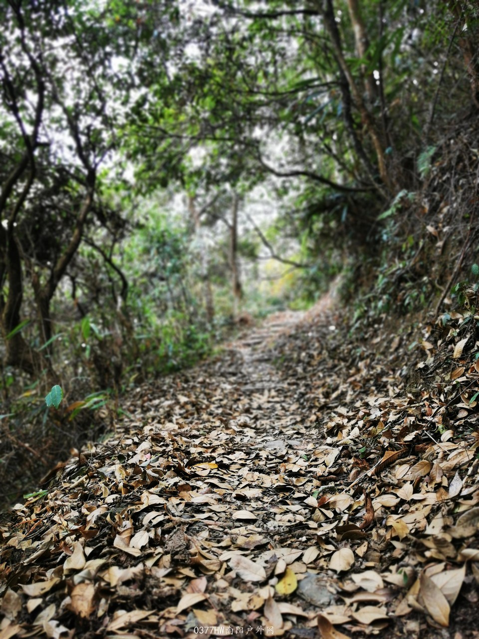 3PdzBclSe67bJ-rDPHsr8aqFmOz6_JbbvWBw3-XO0CM14Gd7HW9hwE0HeEJ8zYzf