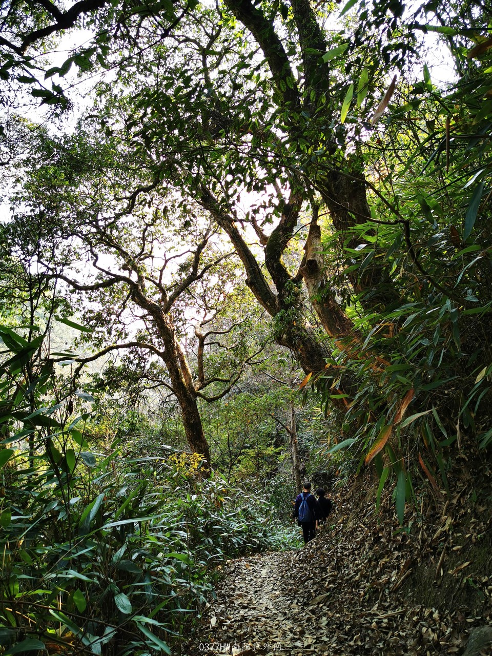 x-ji-l38rWs80byA_fb_kHYbJyqMzo8qDK5bpqp1Ud9ETJWCCzT3j8KvC_sG83vD