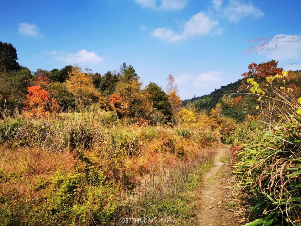 AqNzVnORvR5HolkgwlI2ElW-0Fw9VY-YtSxxFJjdWvm0QpBHuh5plWPgTIWNgKzP