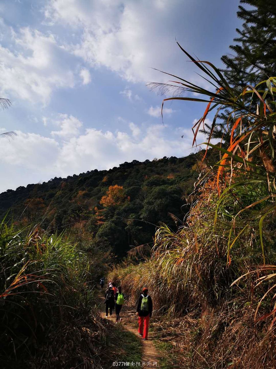 6CUeQnHB8KLVSD1l-GNQFNtdnYq7vbLxAFIXlNu2bi73K4y5Q95Rabz_Wb3_qR2D