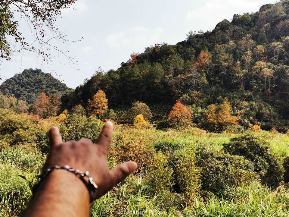 zbpajyHecpVjwVFw7DHS3l_FA_ldIF1oFXsr1Uj6yn6MiRZqN2P8Fw5WybJvX4Zu