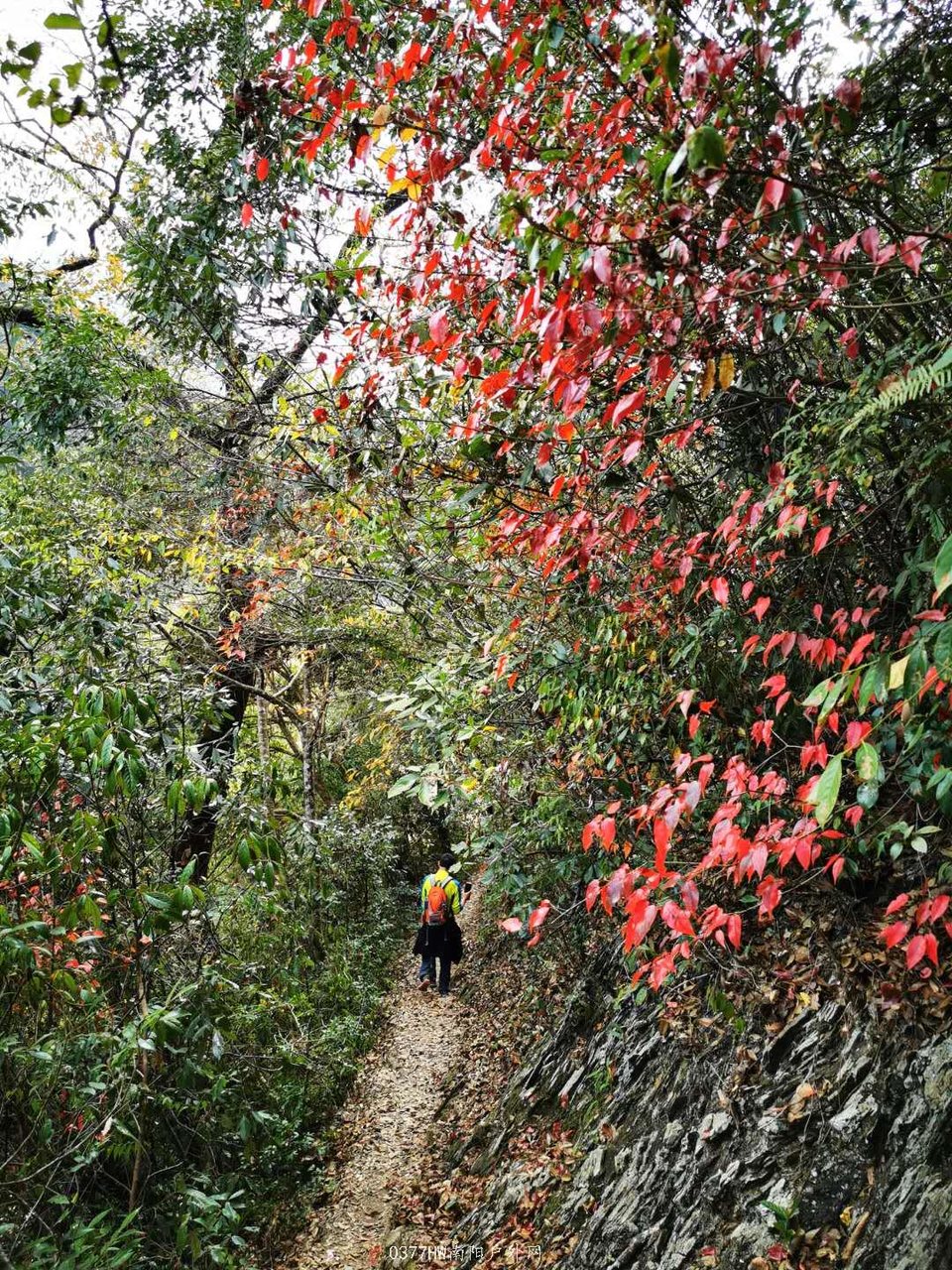 lup908ECxd1P97Vog3Woyb9N8YK6lhoNWIYjL2y4WT8hJ5gnzmFmLNDzSP-EPy1E