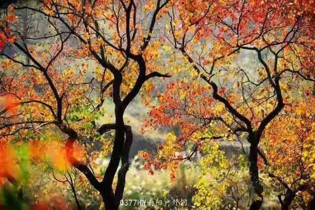 TTAxeiPb7XWHY-eOWVh0nwFmm2M4R_u5FiBcDsORlXDS3PSxCKLqR-oM3UuQz4Hm