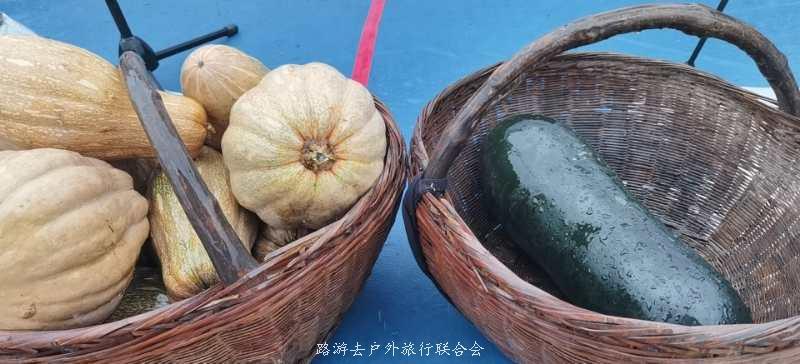 ZCM7dW3KiakbQ-GrcYe--lGQCCFJHj-f4SLbUMinQlo_9DSowgowfUK7gYeeV9A6