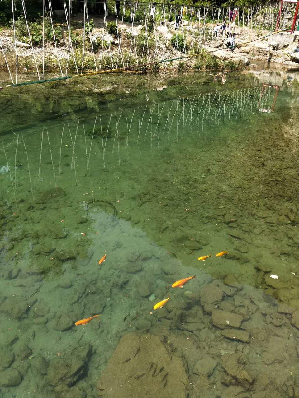 N9w72_49h79HP04gqe8R2TrG-9NyqFSB-wJ9aBaxlMqIFc3vVlkGzKMDHmMCxxtP