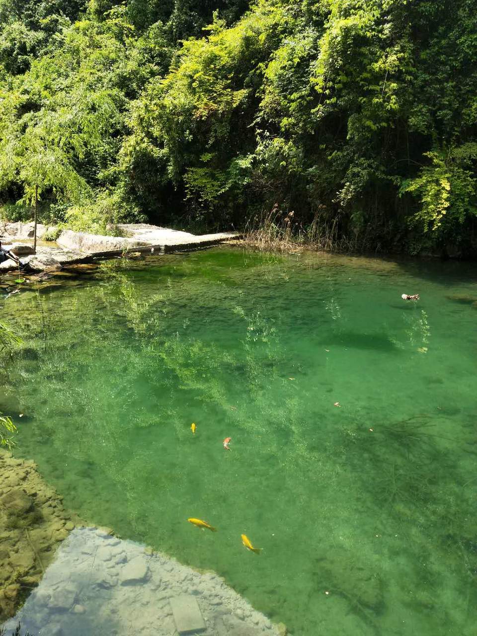 UcqOp9hvRv1Wa8sH1AUMcyzDsX5Ic-oQlyvxdnGiBlJbS0mXu3ohwrQccvP6M69I