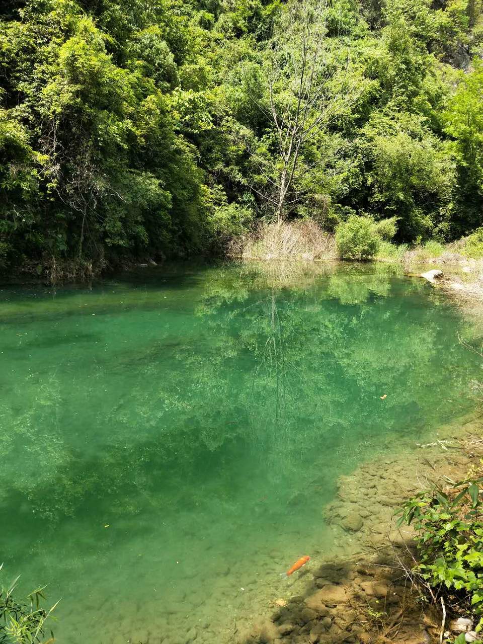 0YECeR58Xf3aWcx3EYaRMmXfmwD-4pIltGW5L6MyQmVmSVgHYcxjpWrDeMNHGfMs