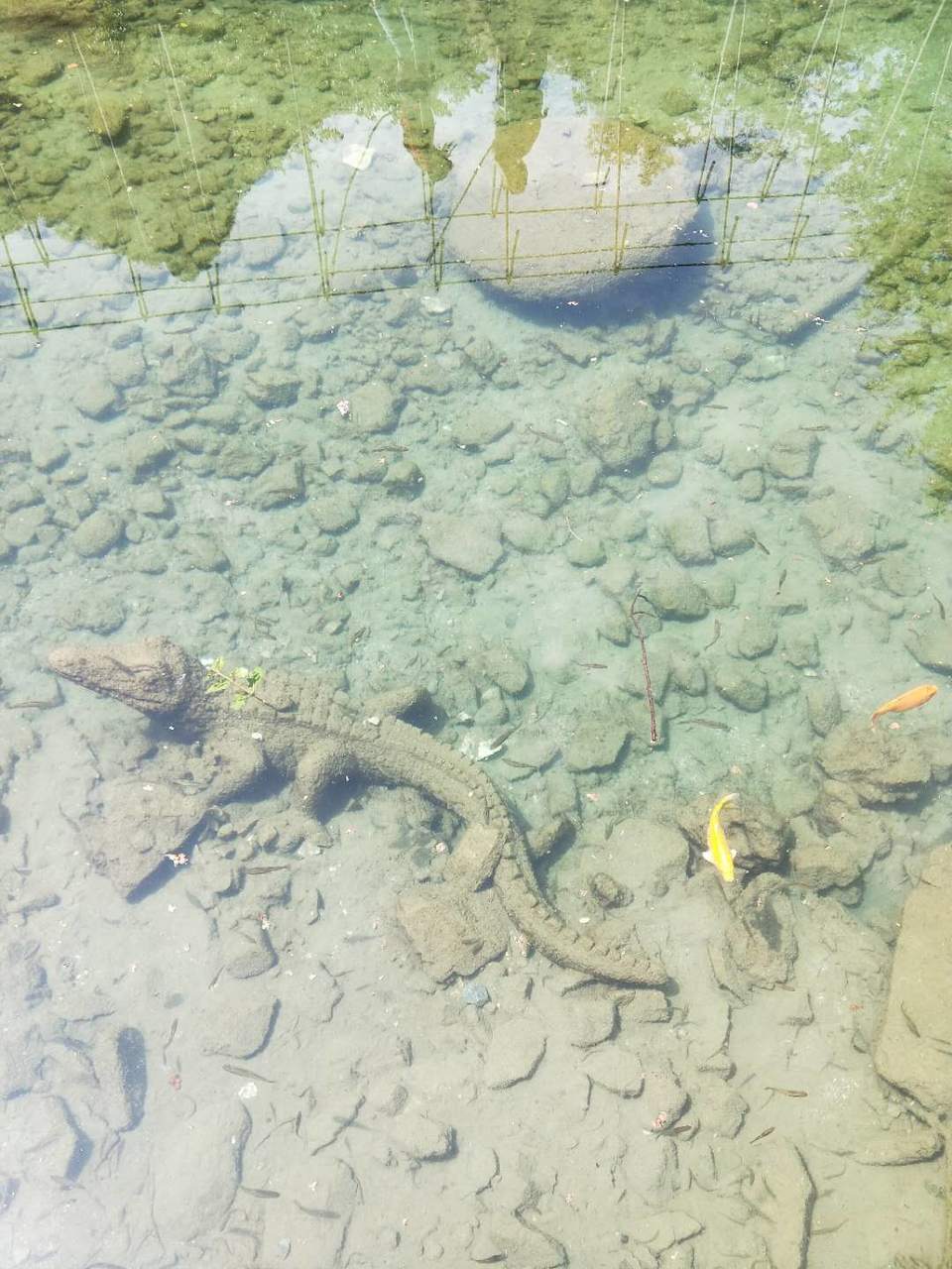 TVTI4V_f1H6ehw0M00V1QmLXdc9igyjvbcAHkOtRLGsj8xGjJD9qVTGsCtA0YxVC