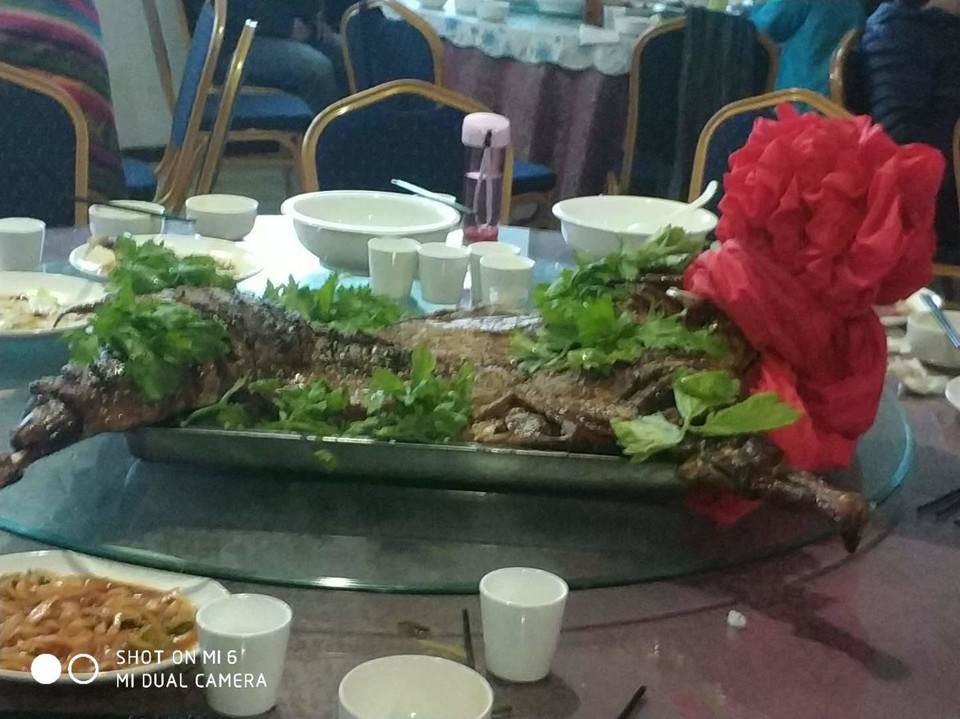 zmwlCGW33xSCPPAyaBeMTFo9LFCd-gt8YebKChLpAnne8Je9dwALqifVtl9MkGcg