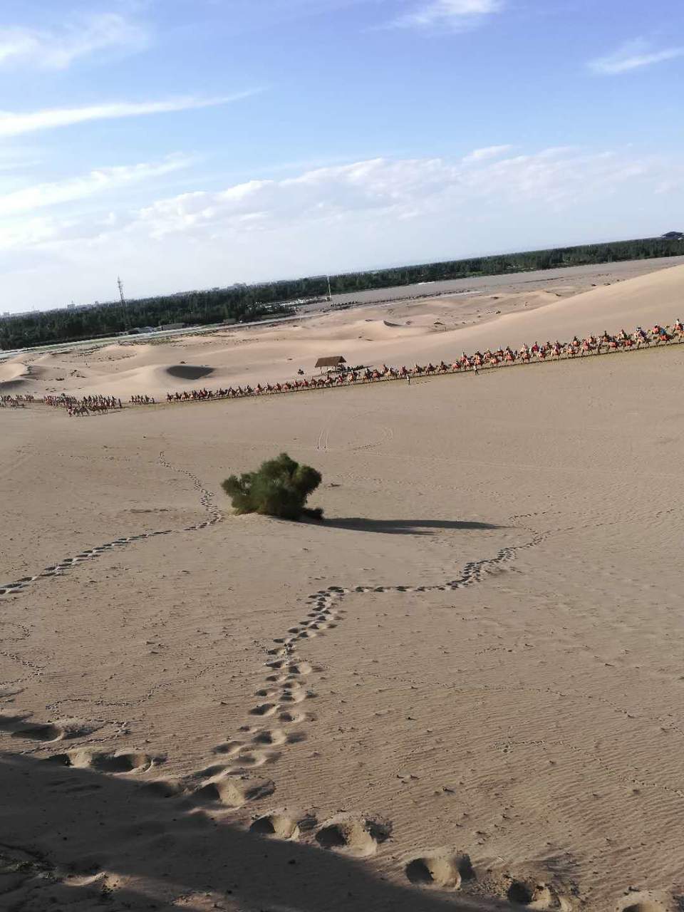 ATFuZmh3GqbW8d0xyBOdpgcwuPO5IwpDUojwCgNfAT4Wt8TZXAHGjD3Hl6DgcYFj