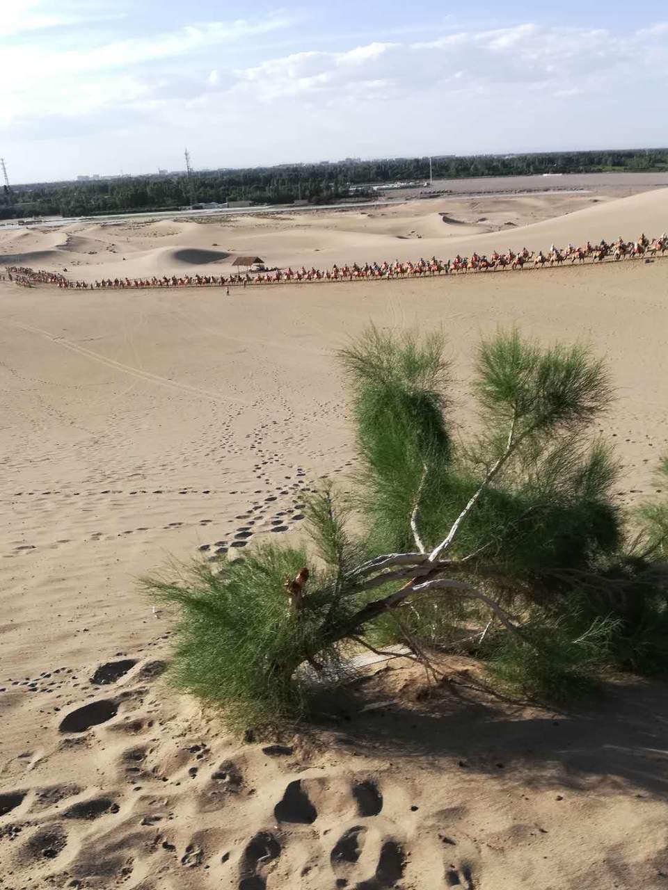 sGE8vstUYeXYFLn7O8jQXv0euXhayUu764KX8zh8WP5XXLsXlZ-GprGaSHT7Gz1_