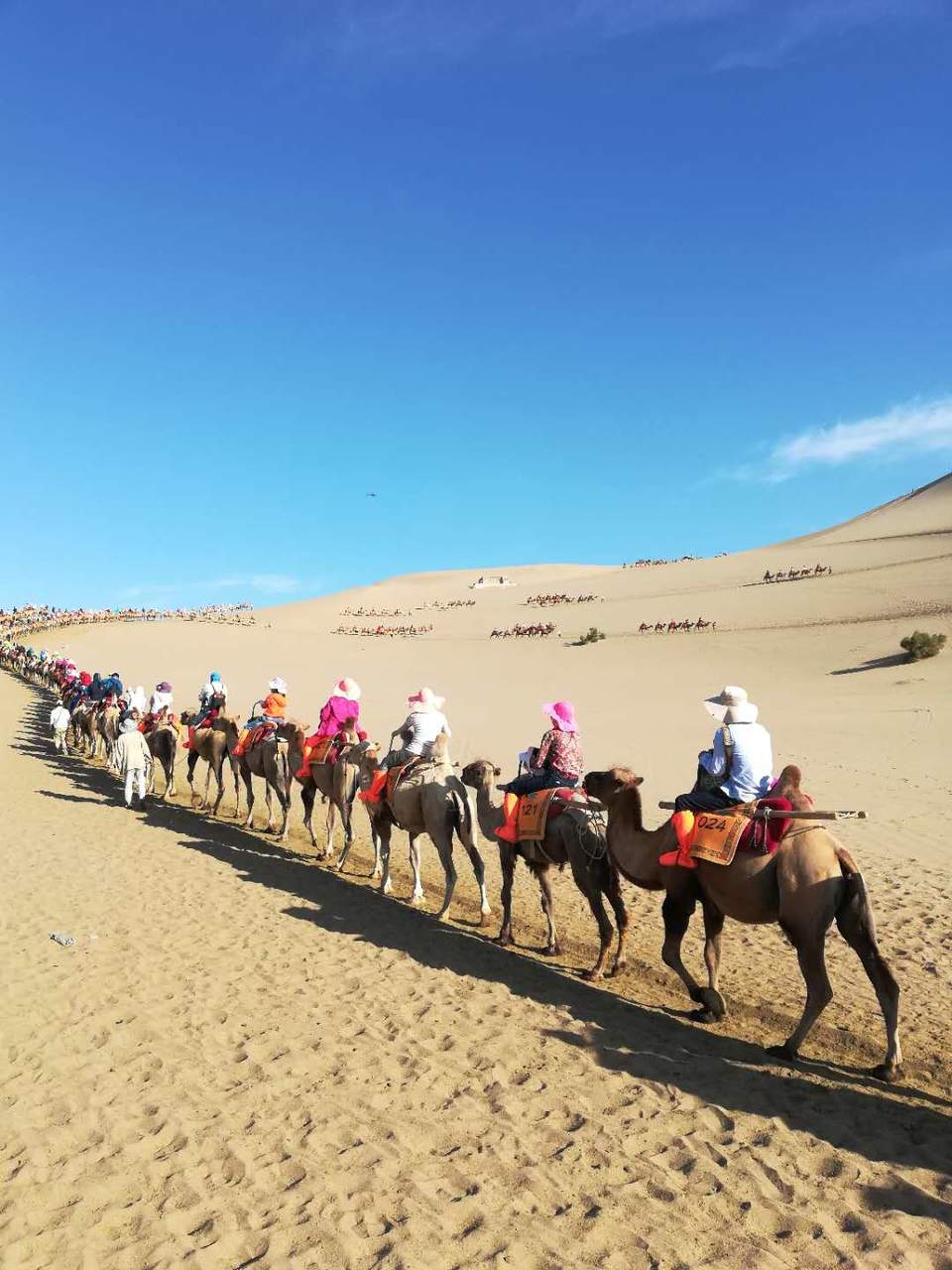 qQeOB02vX_o0fpEZyldEzdmig-2HqNh65qRFw1DLYrnvvlYveKi5Cn04zwVYLAXs