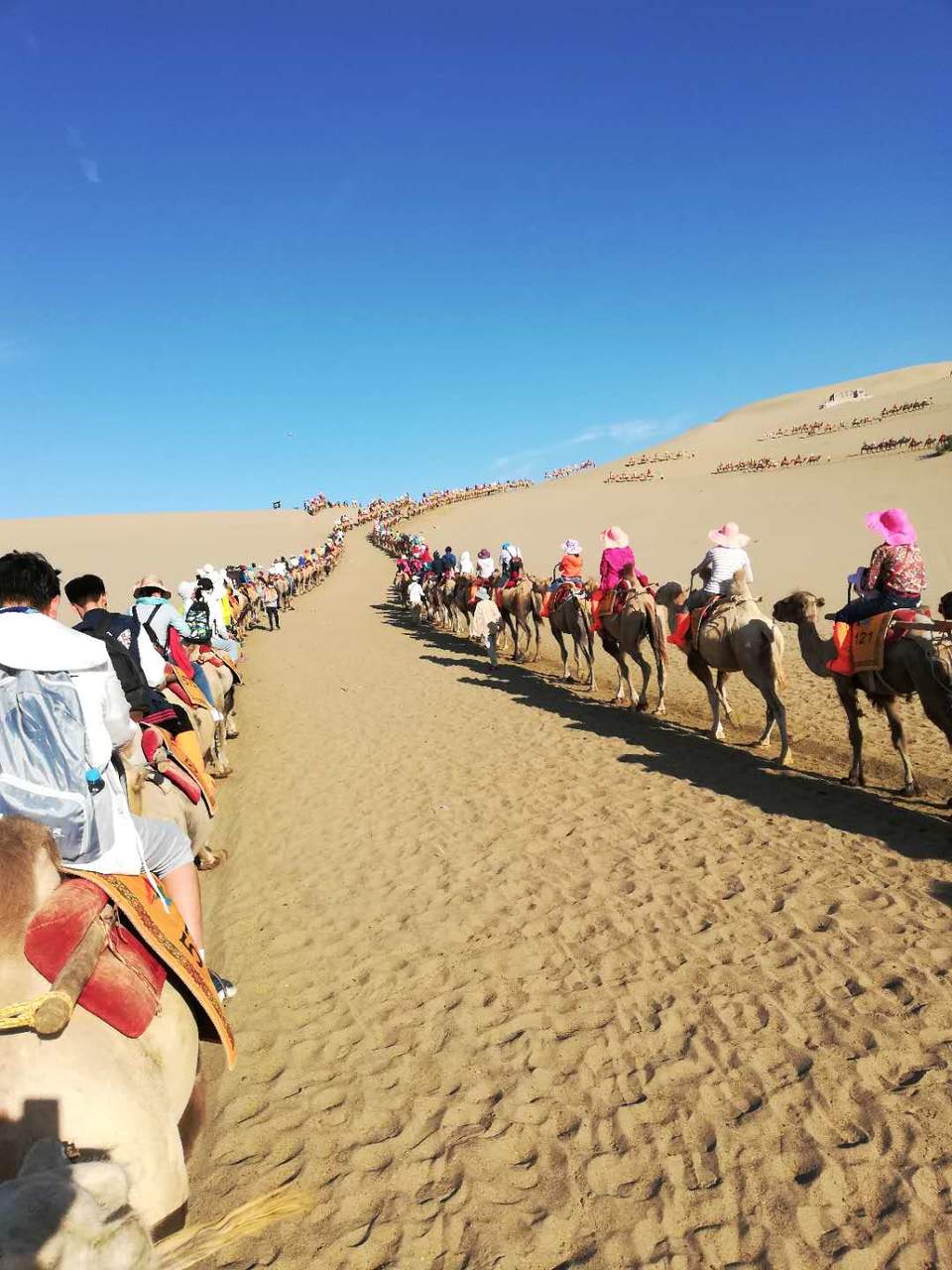 U7j2pCDB4Vr0hRowGpckHkF5KI0kP42sSdATzwHC1SHIaePw6QGku71mjNsTQz5Q