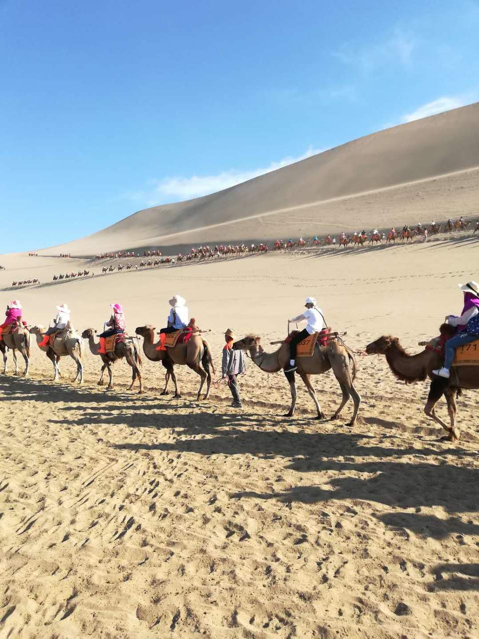 zME0DuHy4Wii076XG0d1N-3yZpeLIjswTs-BXA97DpA3uIxB3tRO9GAJp9HWp7gB