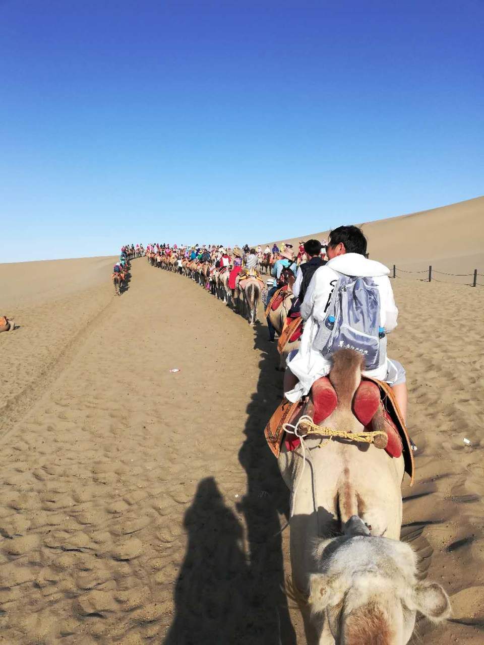 XK3SCAzebbQWis9lpMGKGhq1z1UcTk029hDvGjyZaSzKwgv9ZJ2POy87WPTEDRg5