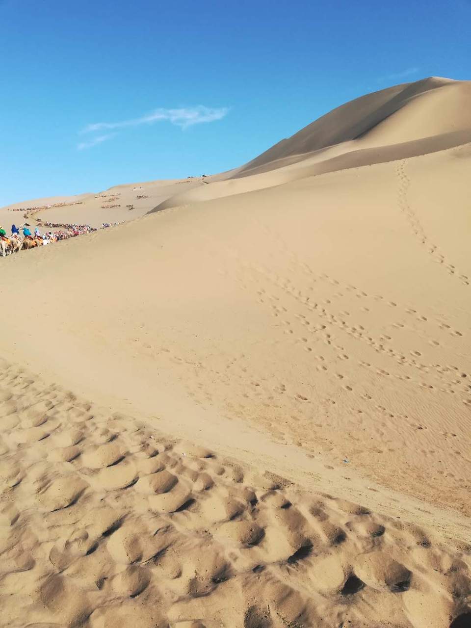 Se4jy7rl3oH7MXi3gELUcA9ImJpO3agKSAeJWp2PXkEvSebtNWdVf9zMKiOy13a7