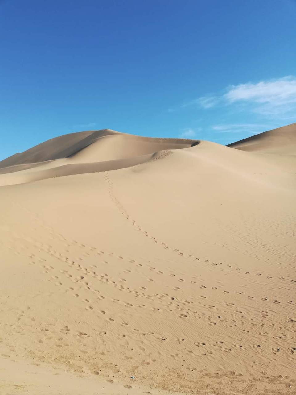 rEjn5KLyqslZaObf1laHL-WNfOOTMAGUegtbJbQoADZ9ZbV9F2uE7Fag7xomaiTz