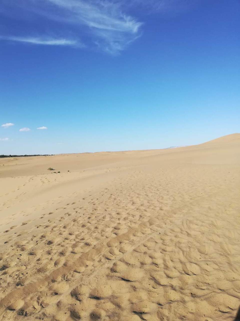 o3MpGCCcfFLxOxepqeNwIWzbnvqjVPd7DEAMQpXKS44dyQ75pAuttF4xaIQzP5P2