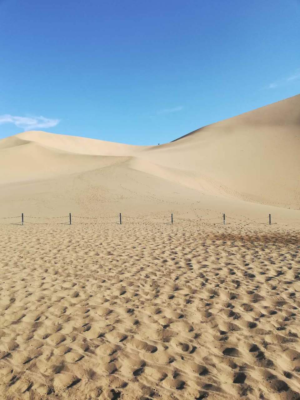 kZ9yD7uBsX-w30pG9sATadV0vopVi3jKZvO-eCMBt8Z9Yc-ZcrhRD-9PdxLFKnvV