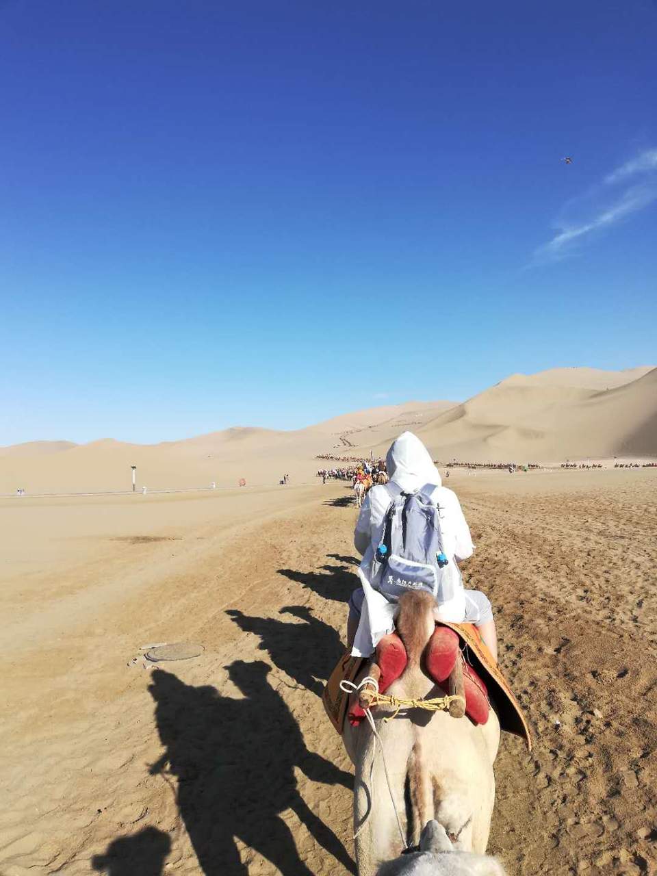 fVWCVOho2qdSHwty9l2T1eM70VcMYan4oYsen7OIjhd6oZswwhj--qArmtrlyCNz