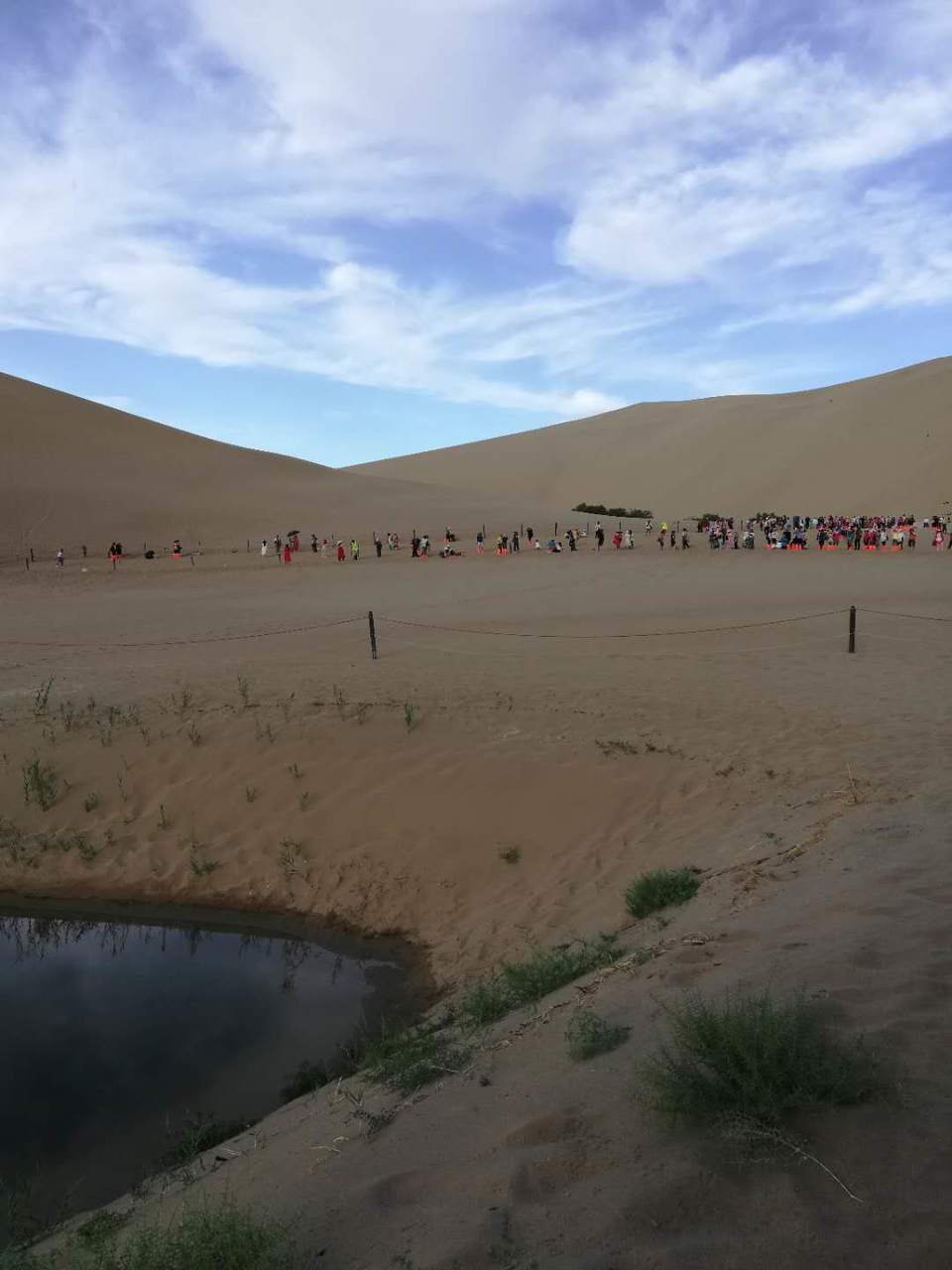 kV6z_X1AJPPWSj2_ElvMAzbJSJ1PV1r1OYBmkxPwzEORRs00PKjOhzPk08Srnoe3